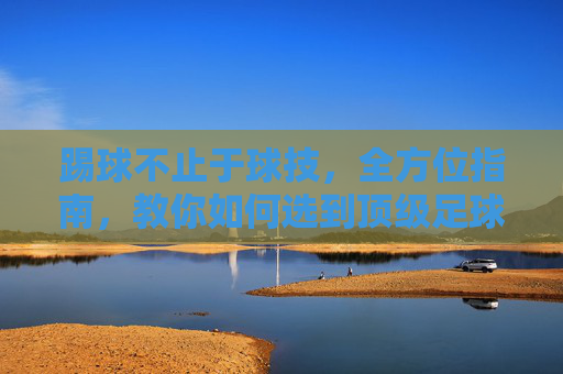 踢球不止于球技，全方位指南，教你如何选到顶级足球场