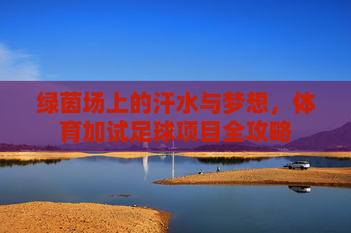 绿茵场上的汗水与梦想，体育加试足球项目全攻略