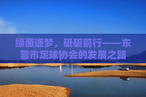 绿茵逐梦，砥砺前行——东营市足球协会的发展之路