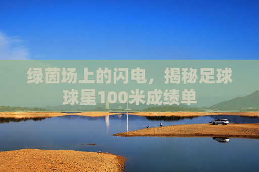 绿茵场上的闪电，揭秘足球球星100米成绩单