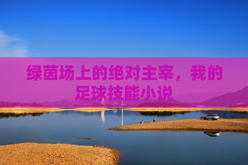 绿茵场上的绝对主宰，我的足球技能小说