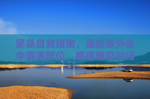 紧急自救指南，足球意外击中要害部位，疼痛难忍时该怎么做？