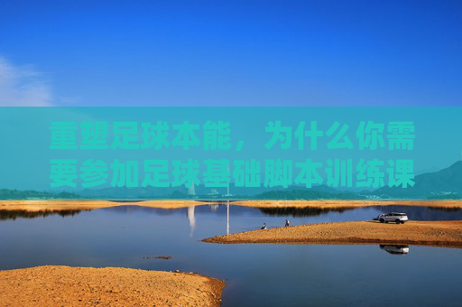 重塑足球本能，为什么你需要参加足球基础脚本训练课程