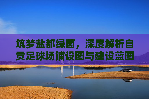 筑梦盐都绿茵，深度解析自贡足球场铺设图与建设蓝图