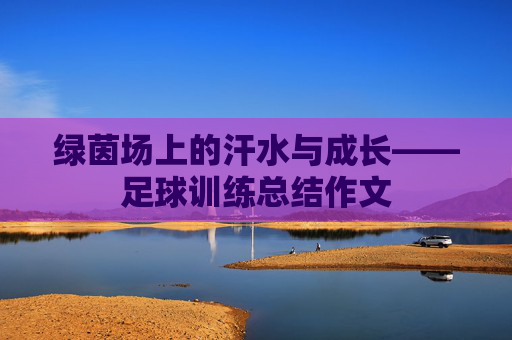 绿茵场上的汗水与成长——足球训练总结作文