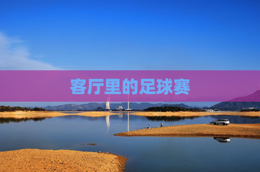 客厅里的足球赛