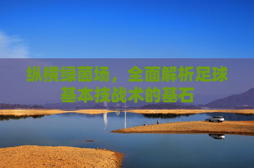 纵横绿茵场，全面解析足球基本技战术的基石