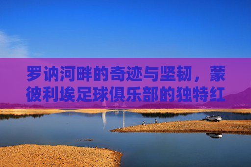 罗讷河畔的奇迹与坚韧，蒙彼利埃足球俱乐部的独特红白传奇