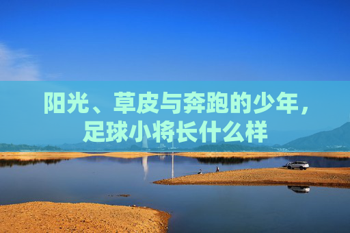 阳光、草皮与奔跑的少年，足球小将长什么样