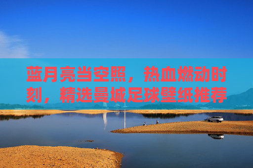 蓝月亮当空照，热血燃动时刻，精选曼城足球壁纸推荐