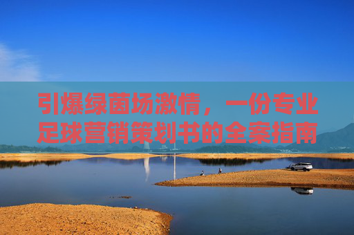 引爆绿茵场激情，一份专业足球营销策划书的全案指南
