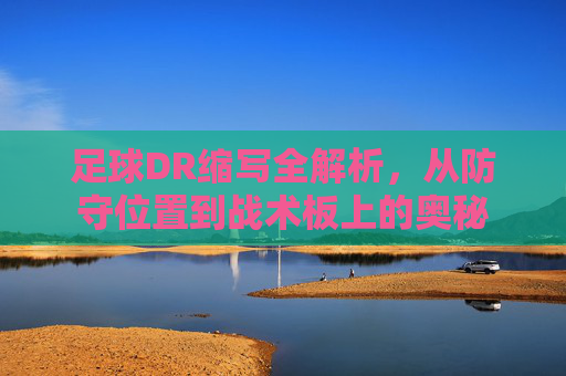 足球DR缩写全解析，从防守位置到战术板上的奥秘