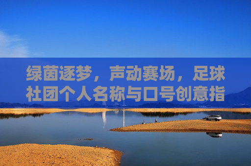 绿茵逐梦，声动赛场，足球社团个人名称与口号创意指南
