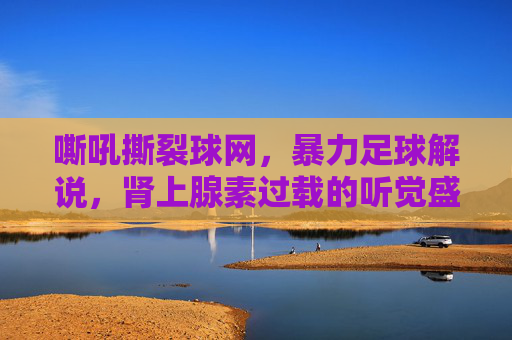 嘶吼撕裂球网，暴力足球解说，肾上腺素过载的听觉盛宴