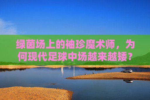 绿茵场上的袖珍魔术师，为何现代足球中场越来越矮？
