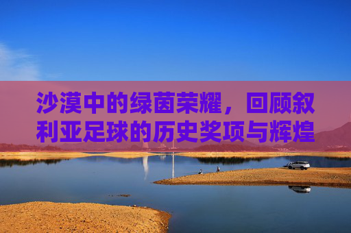 沙漠中的绿茵荣耀，回顾叙利亚足球的历史奖项与辉煌时刻