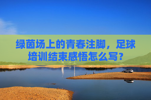 绿茵场上的青春注脚，足球培训结束感悟怎么写？