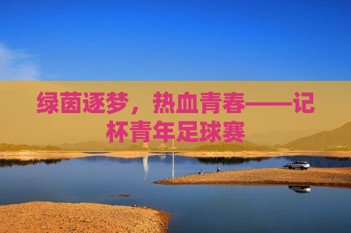 绿茵逐梦，热血青春——记杯青年足球赛