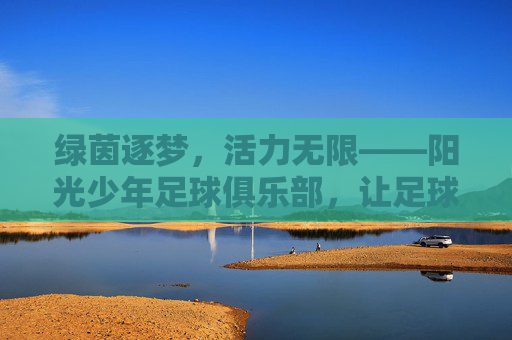 绿茵逐梦，活力无限——阳光少年足球俱乐部，让足球点亮童年