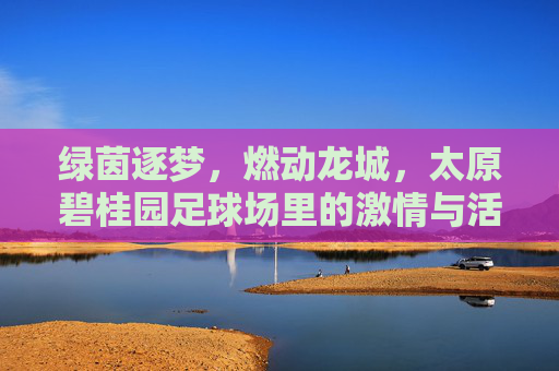绿茵逐梦，燃动龙城，太原碧桂园足球场里的激情与活力