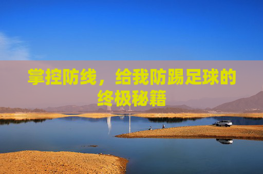 掌控防线，给我防踢足球的终极秘籍