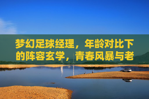 梦幻足球经理，年龄对比下的阵容玄学，青春风暴与老将传奇的博弈