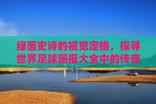 绿茵史诗的视觉定格，探寻世界足球画报大全中的传奇瞬间