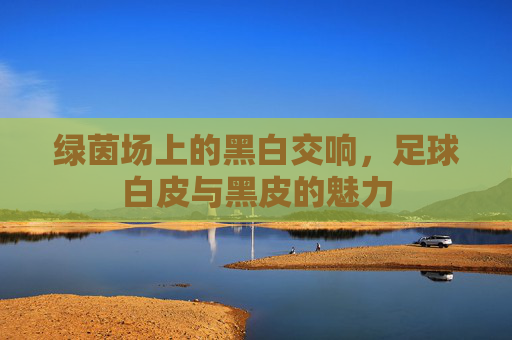 绿茵场上的黑白交响，足球白皮与黑皮的魅力
