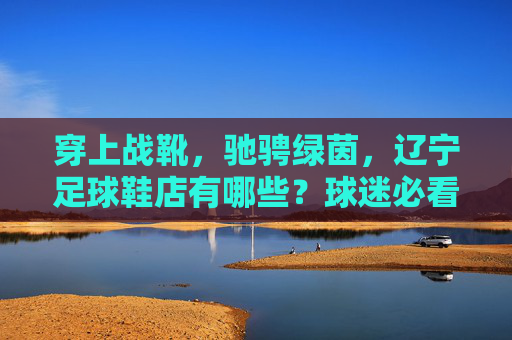 穿上战靴，驰骋绿茵，辽宁足球鞋店有哪些？球迷必看指南