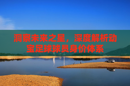 洞察未来之星，深度解析动宝足球球员身价体系