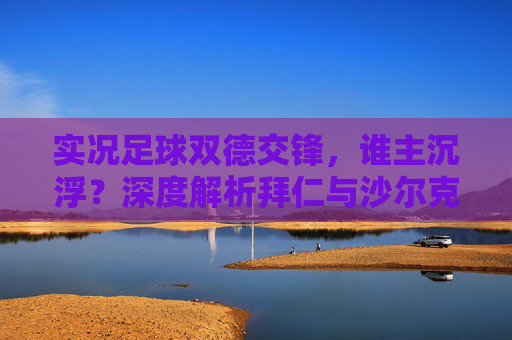 实况足球双德交锋，谁主沉浮？深度解析拜仁与沙尔克的战术博弈