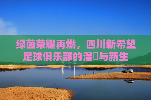 绿茵荣耀再燃，四川新希望足球俱乐部的涅槃与新生