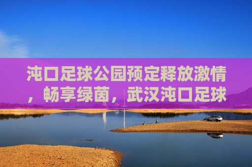 沌口足球公园预定释放激情，畅享绿茵，武汉沌口足球公园全攻略