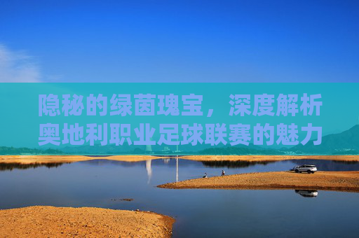 隐秘的绿茵瑰宝，深度解析奥地利职业足球联赛的魅力与格局