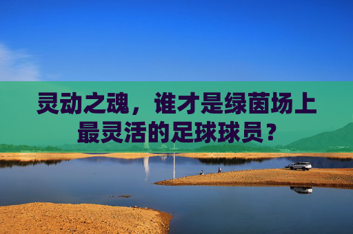 灵动之魂，谁才是绿茵场上最灵活的足球球员？