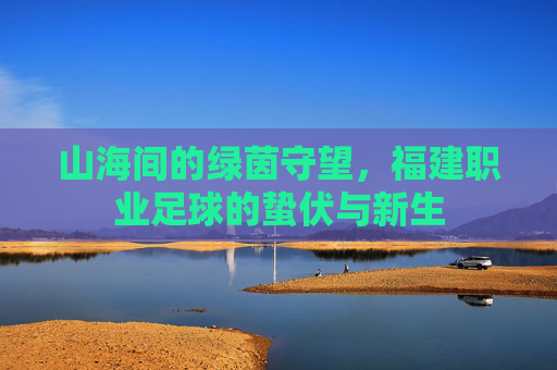 山海间的绿茵守望，福建职业足球的蛰伏与新生
