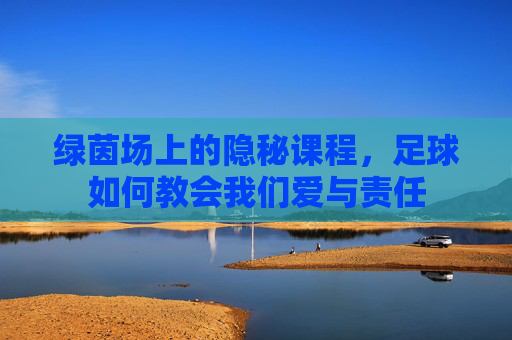 绿茵场上的隐秘课程，足球如何教会我们爱与责任