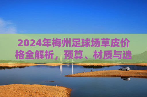 2024年梅州足球场草皮价格全解析，预算、材质与选购指南