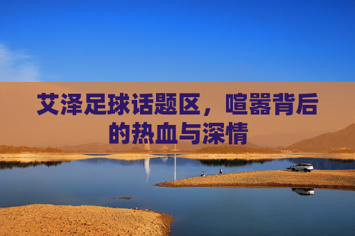 艾泽足球话题区,喧嚣背后的热血与深情