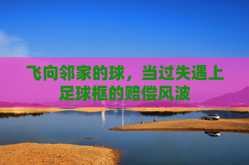 飞向邻家的球，当过失遇上足球框的赔偿风波