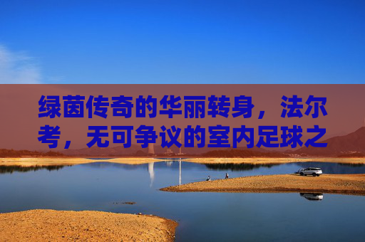 绿茵传奇的华丽转身,法尔考,无可争议的室内足球之王
