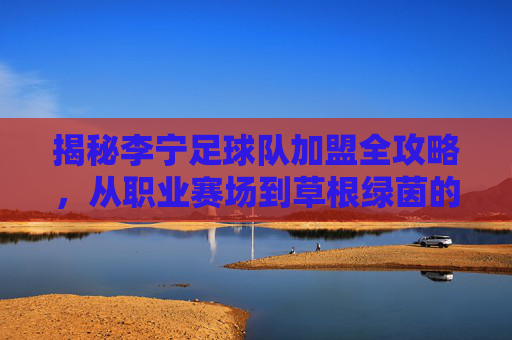 揭秘李宁足球队加盟全攻略,从职业赛场到草根绿茵的完整指南