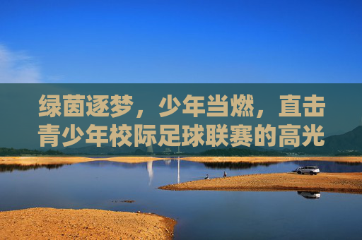 绿茵逐梦,少年当燃,直击青少年校际足球联赛的高光时刻