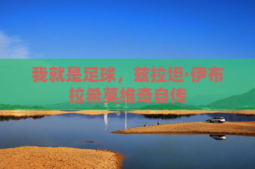 我就是足球,兹拉坦·伊布拉希莫维奇自传