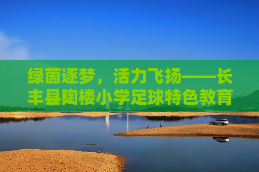绿茵逐梦,活力飞扬——长丰县陶楼小学足球特色教育纪实