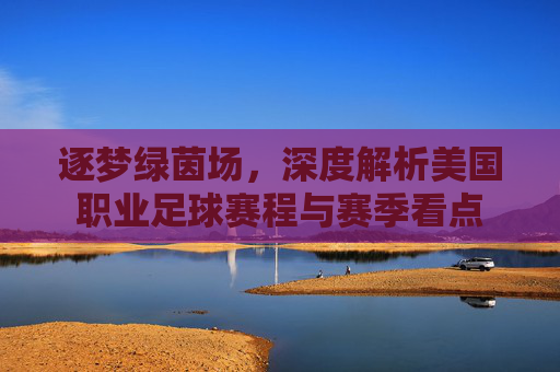 逐梦绿茵场，深度解析美国职业足球赛程与赛季看点