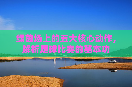 绿茵场上的五大核心动作,解析足球比赛的基本功