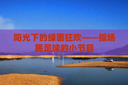 阳光下的绿茵狂欢——操场踢足球的小节目