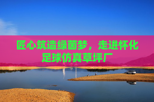 匠心筑造绿茵梦,走进怀化足球仿真草坪厂