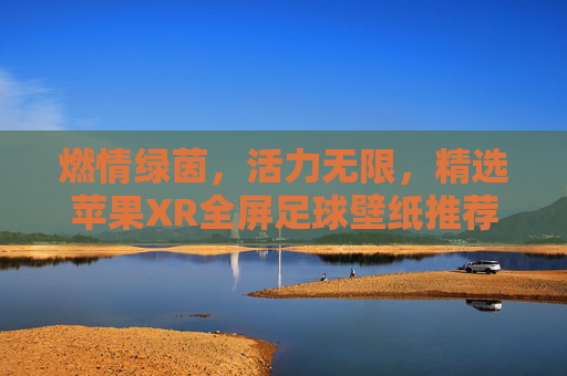 燃情绿茵,活力无限,精选苹果XR全屏足球壁纸推荐